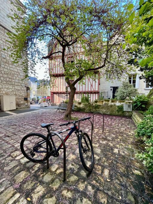Appartement Cosy Hypercentre Place St Pierre Saumur Eksteriør billede