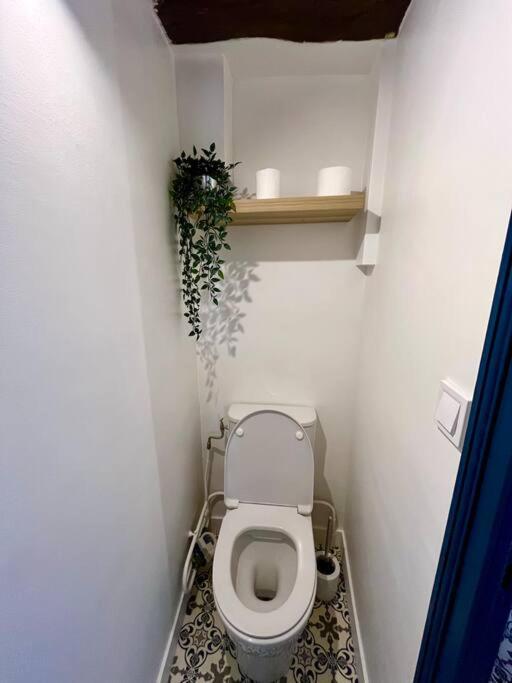 Appartement Cosy Hypercentre Place St Pierre Saumur Eksteriør billede